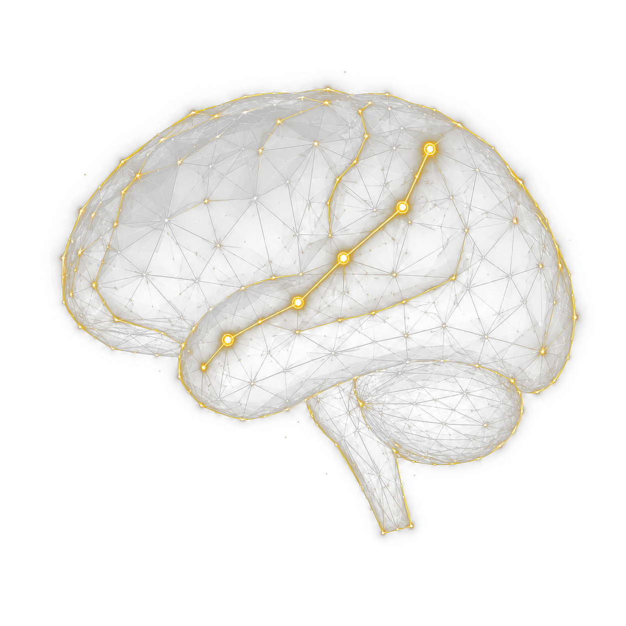 Cerebro en wireframe de nodos: cursos y formación